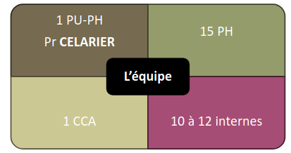 geriatre-equipe