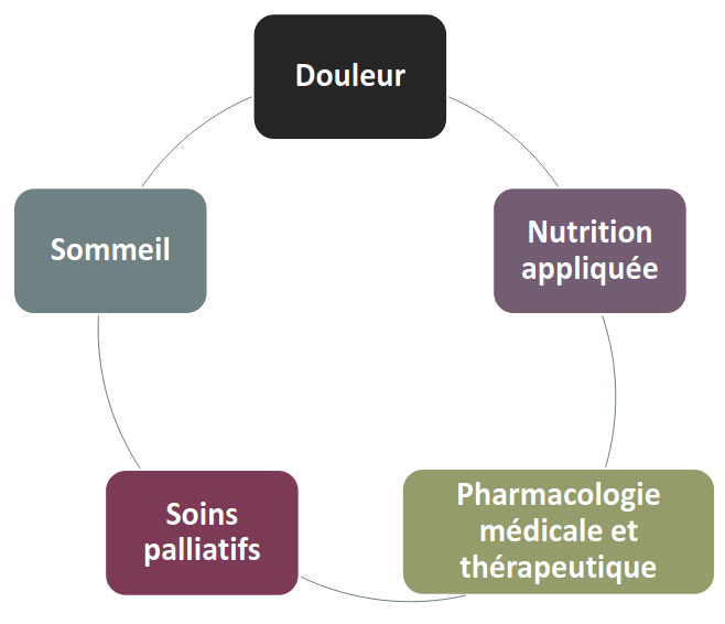 geriatre-fst